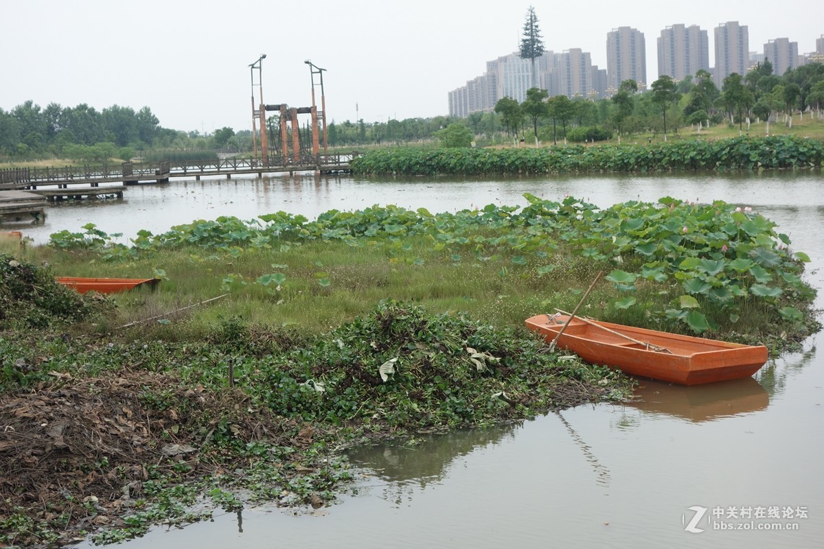 凤岗河湿地公园