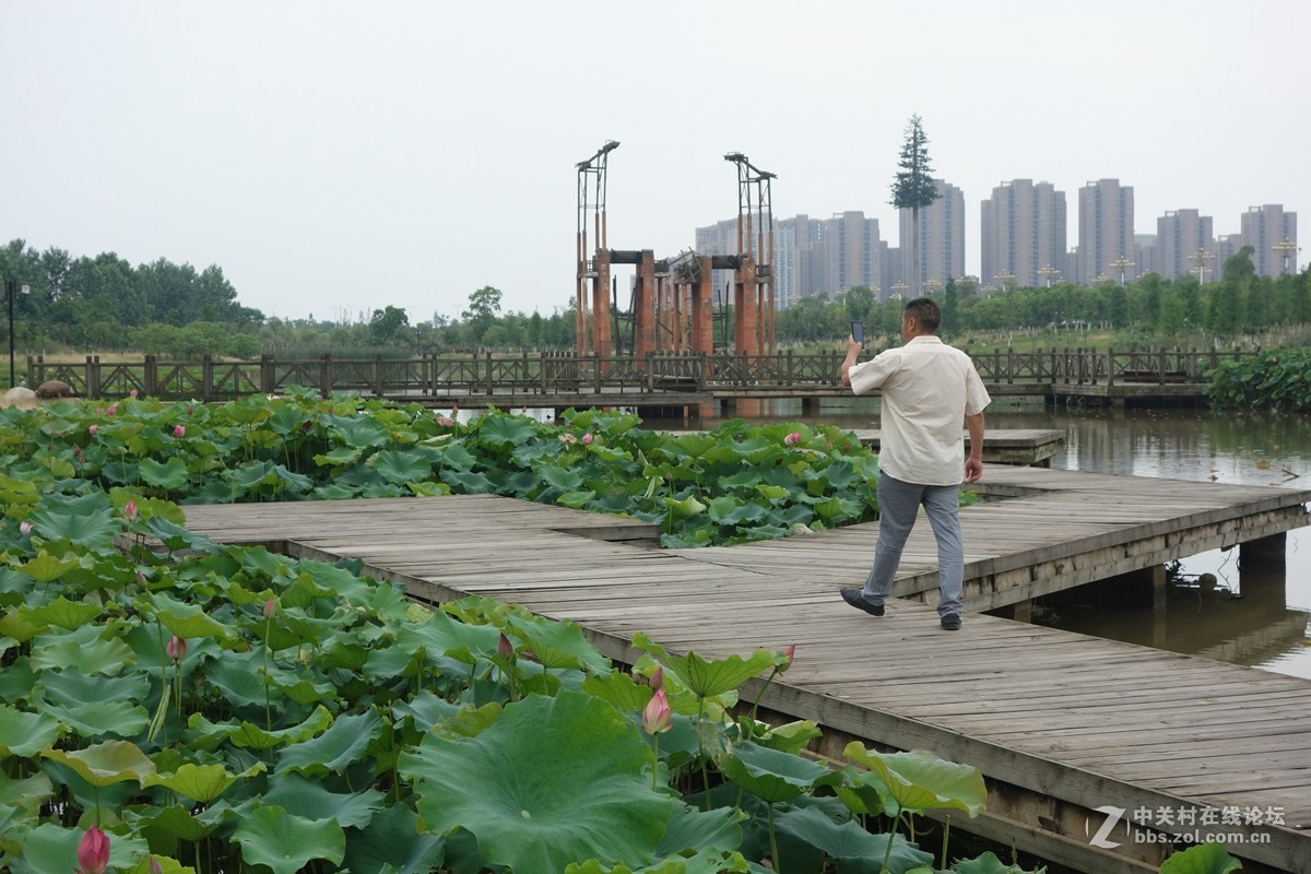 凤岗河湿地公园