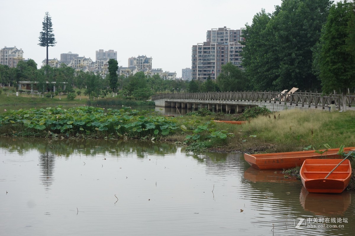 凤岗河湿地公园