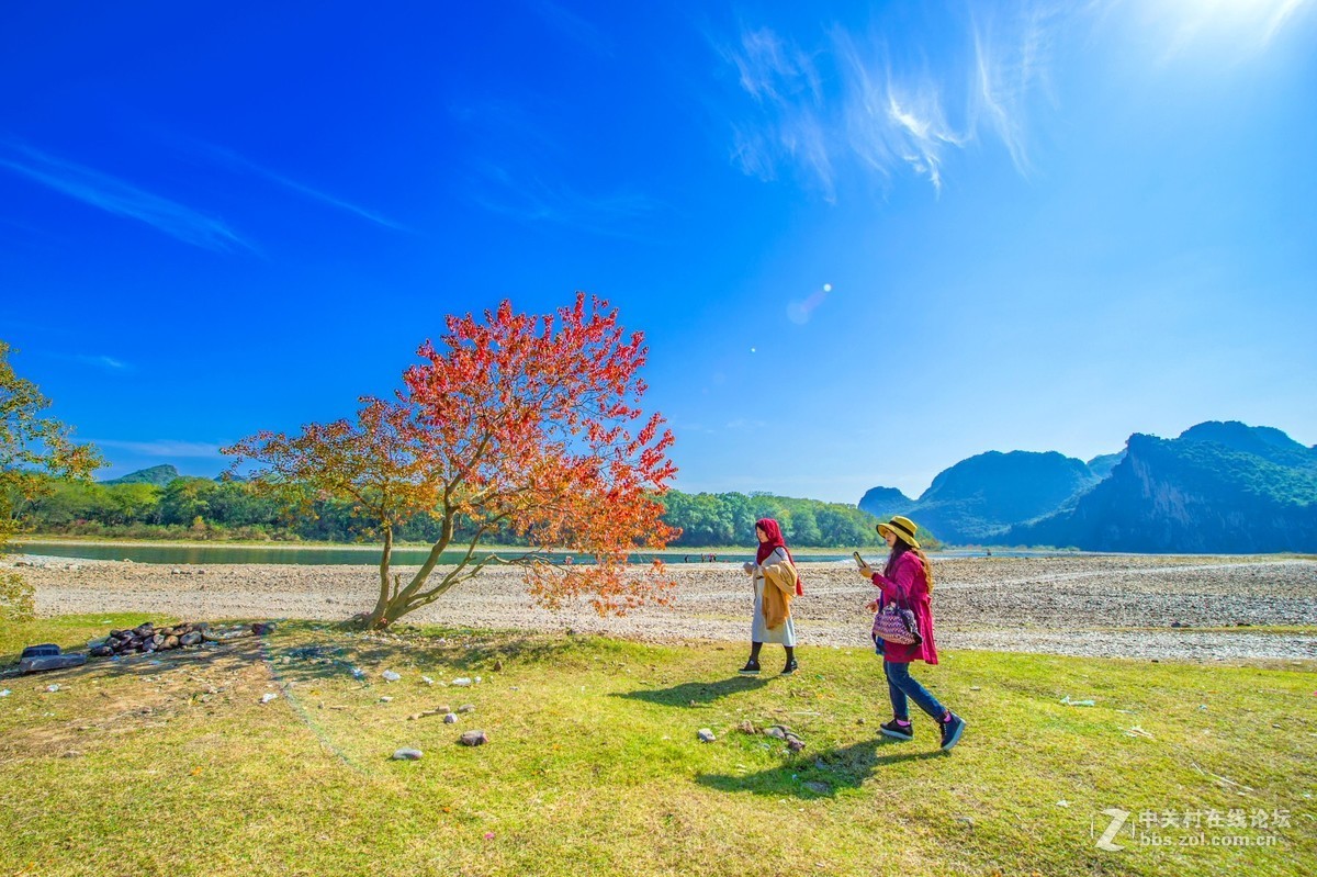 桂林乌桕滩风光风景 续