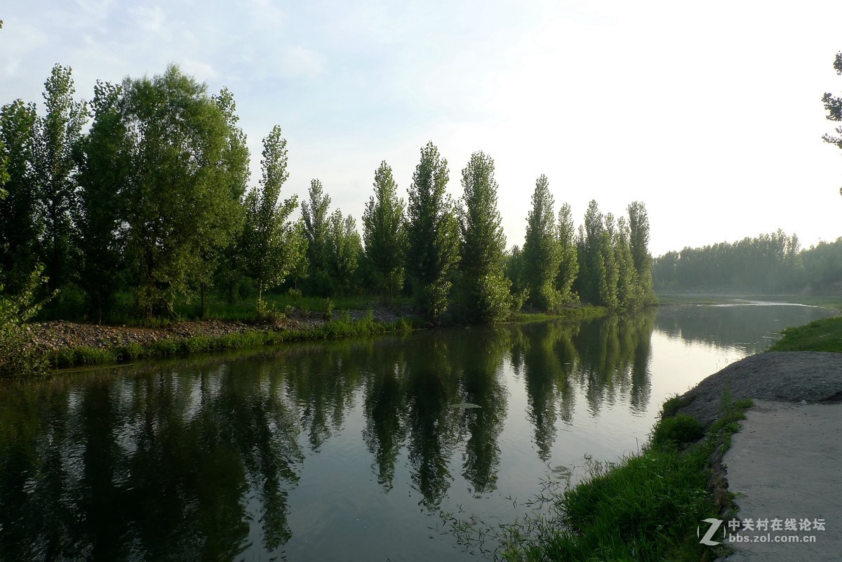 冶河湿地