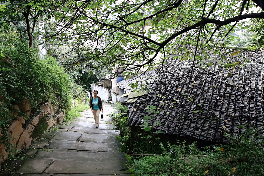 重庆黄桷古道