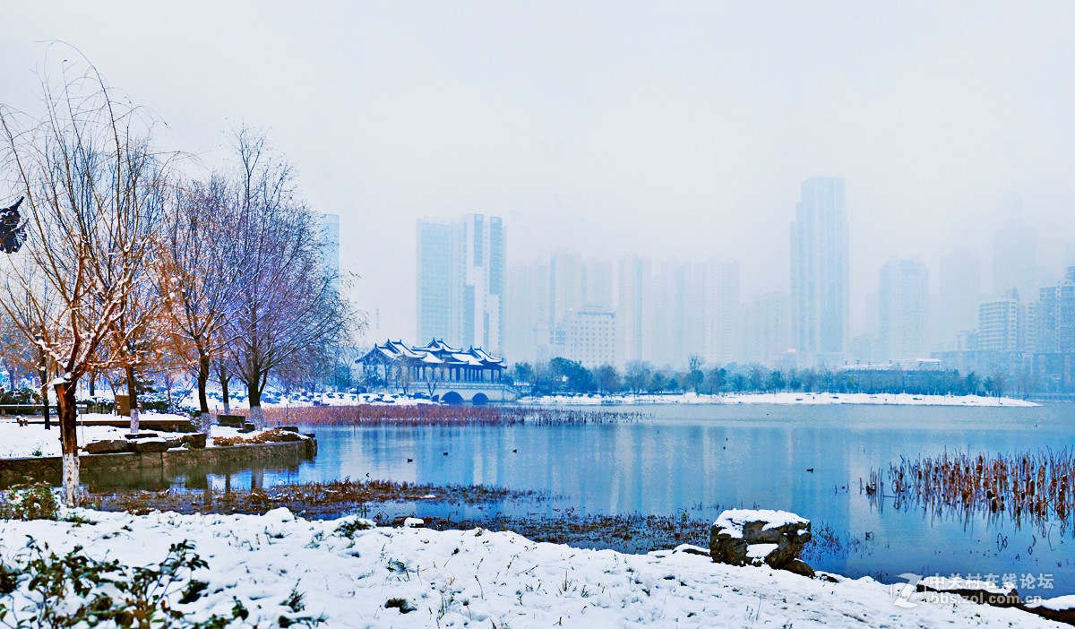 摄影论坛 摄影作品论坛 自然风景论坛 武汉沙湖雪景 器材:尼康d7000