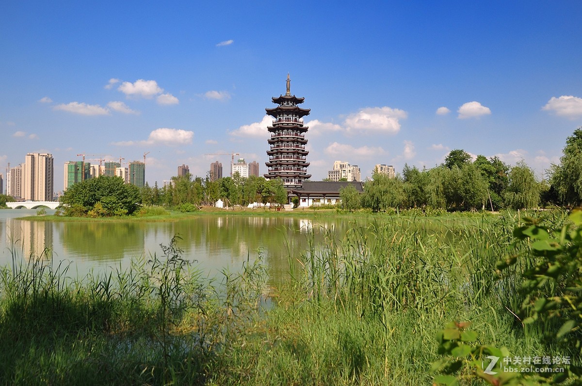 长沙洋湖湿地公园盛夏美景1