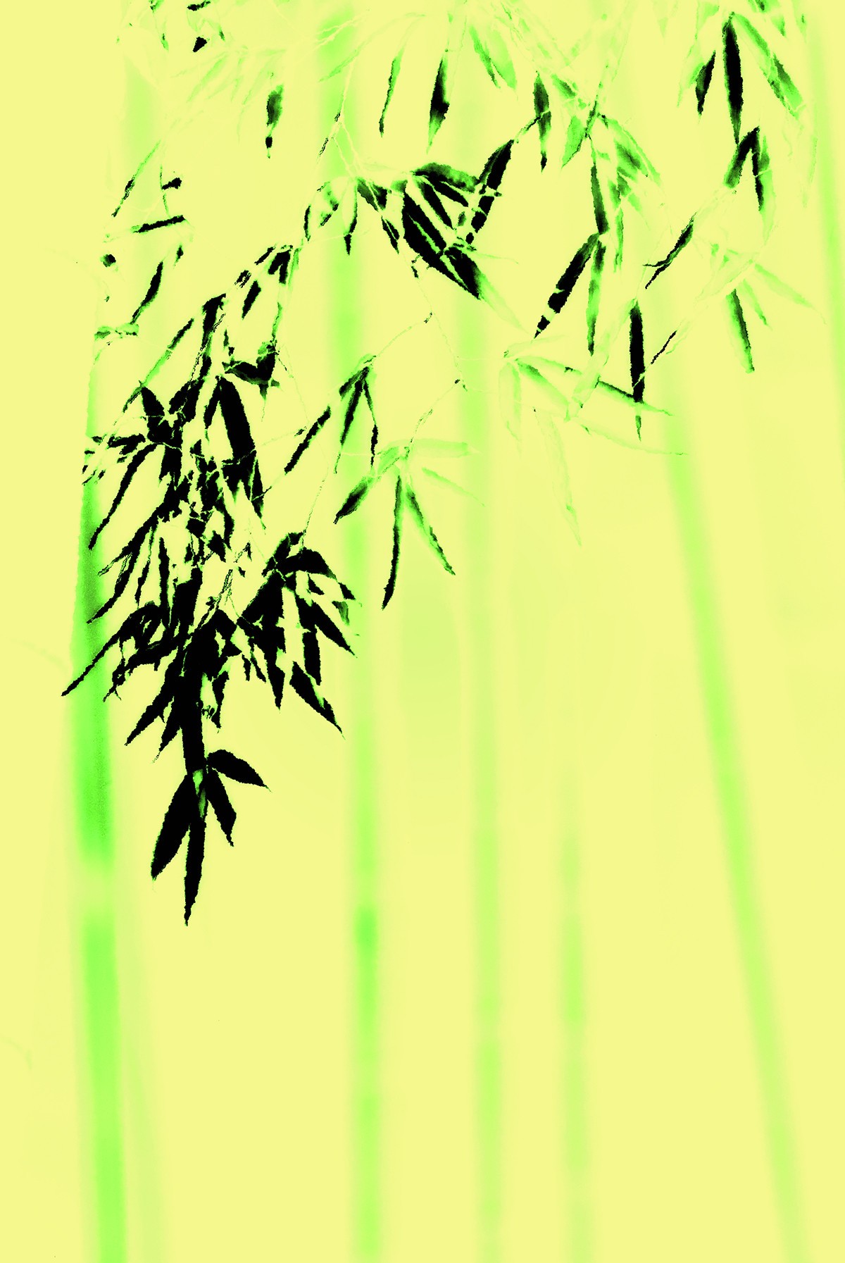 绿玉君