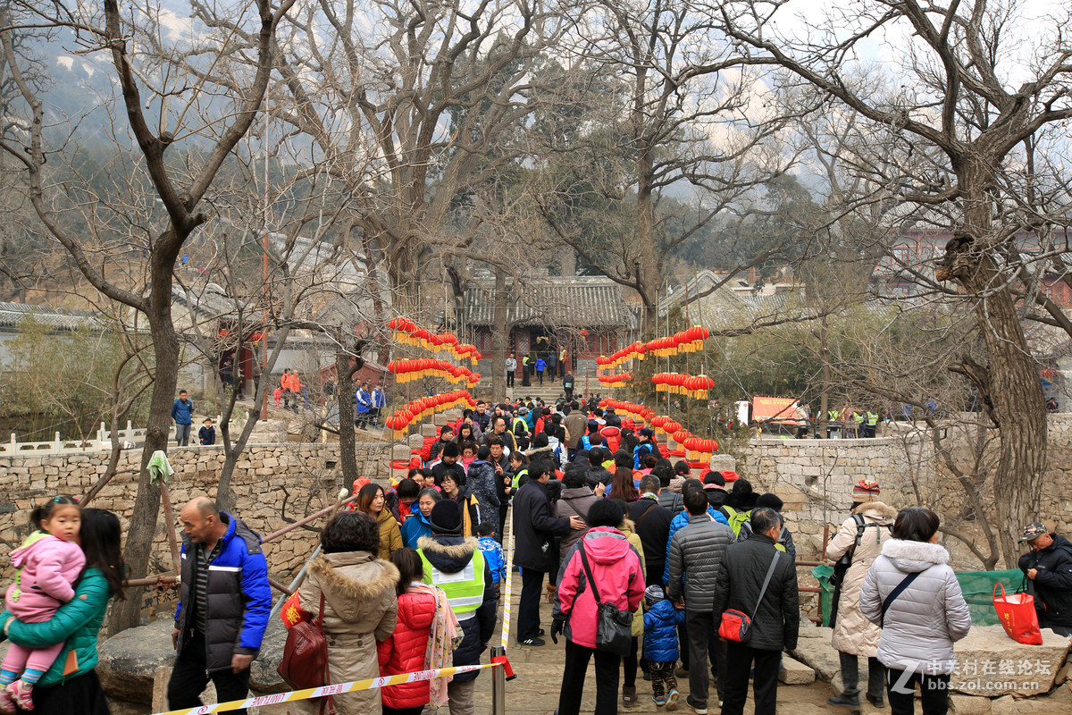 zol月赛新年凤凰岭龙泉寺祈福法会