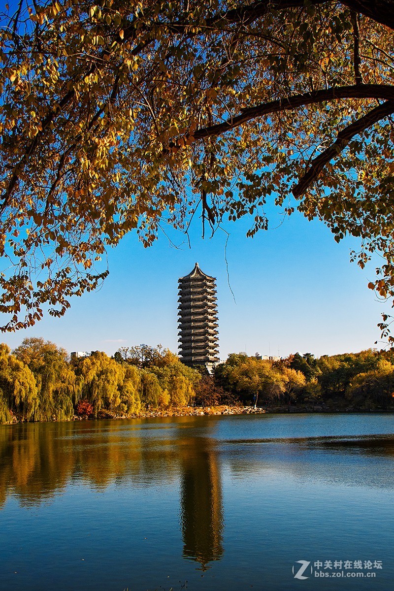 北京大学的秋天