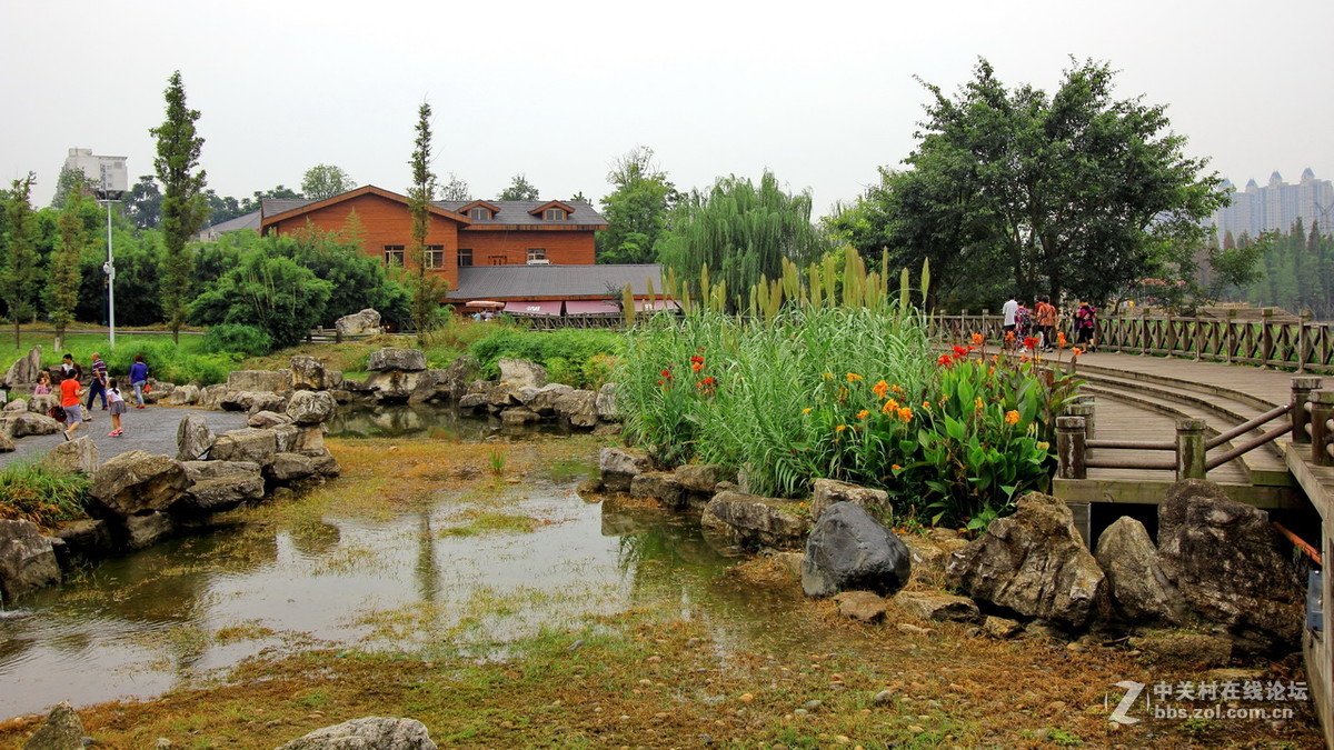 凤凰湖湿地公园