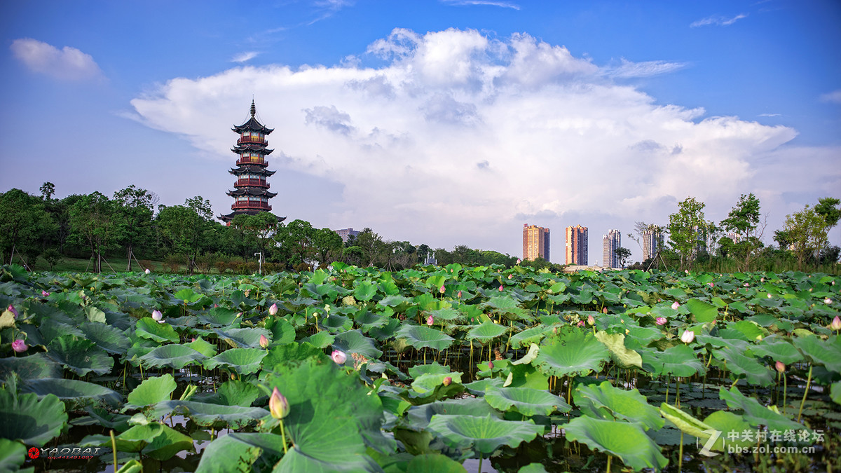 摇摆风景象湖万寿塔