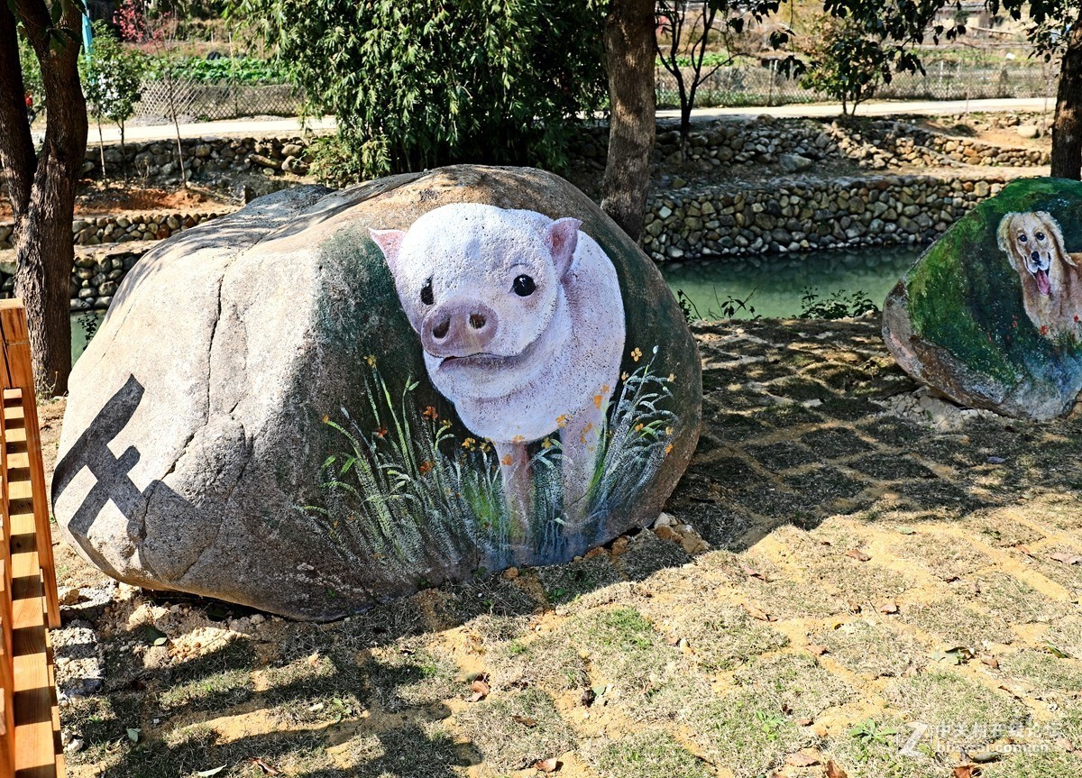 美丽乡村潘祠村