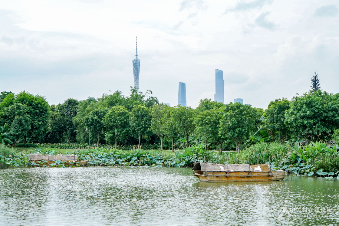 广州海珠湿地公园