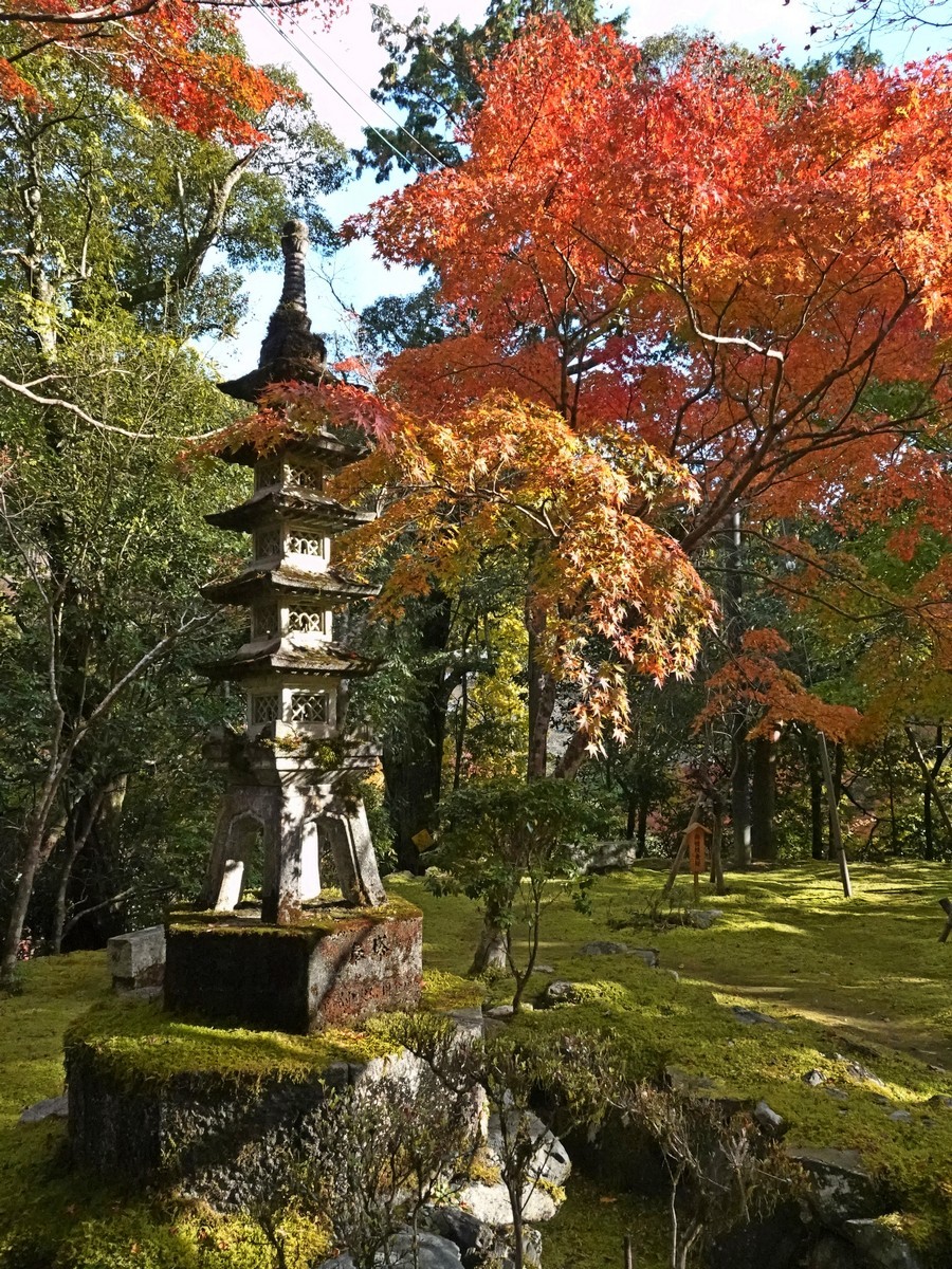 日本关西赏枫游2京都西明寺