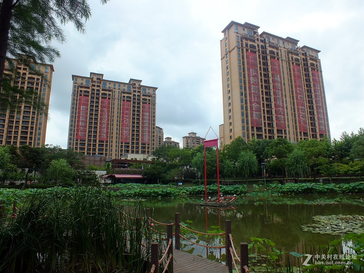 上海市嘉定陈家山荷花公园