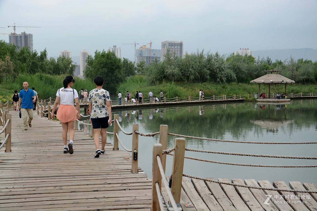 休闲好去处兰州银滩湿地公园