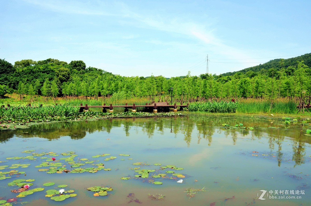 武汉龙灵湿地公园上