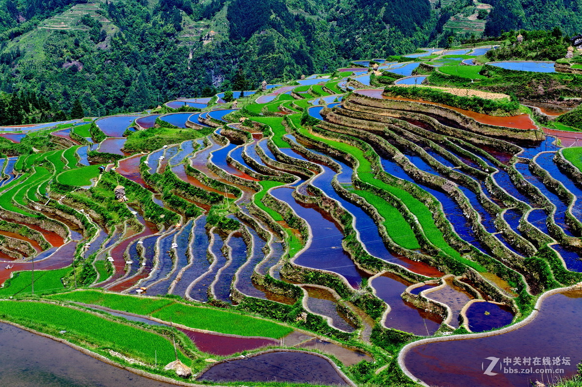 月亮山中五彩梯田