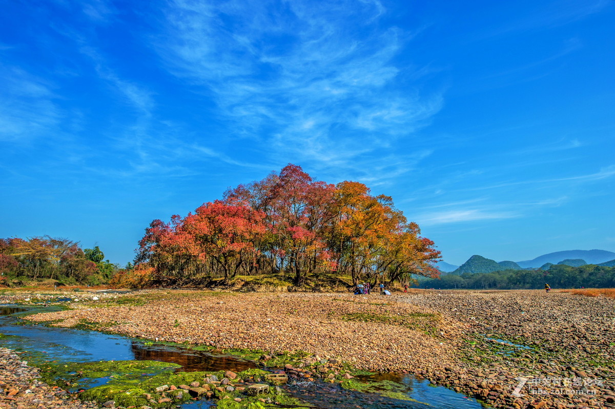 乌桕滩风景