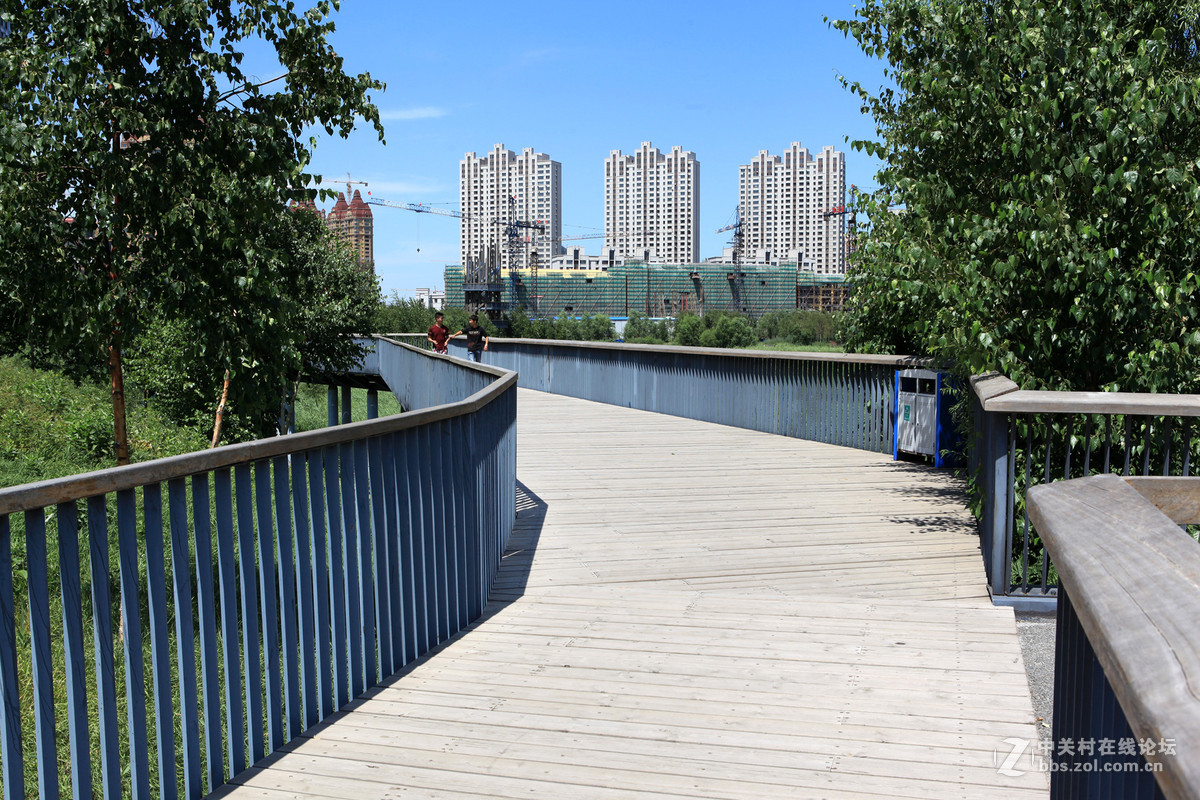 哈尔滨公园游拍群力国家城市湿地公园