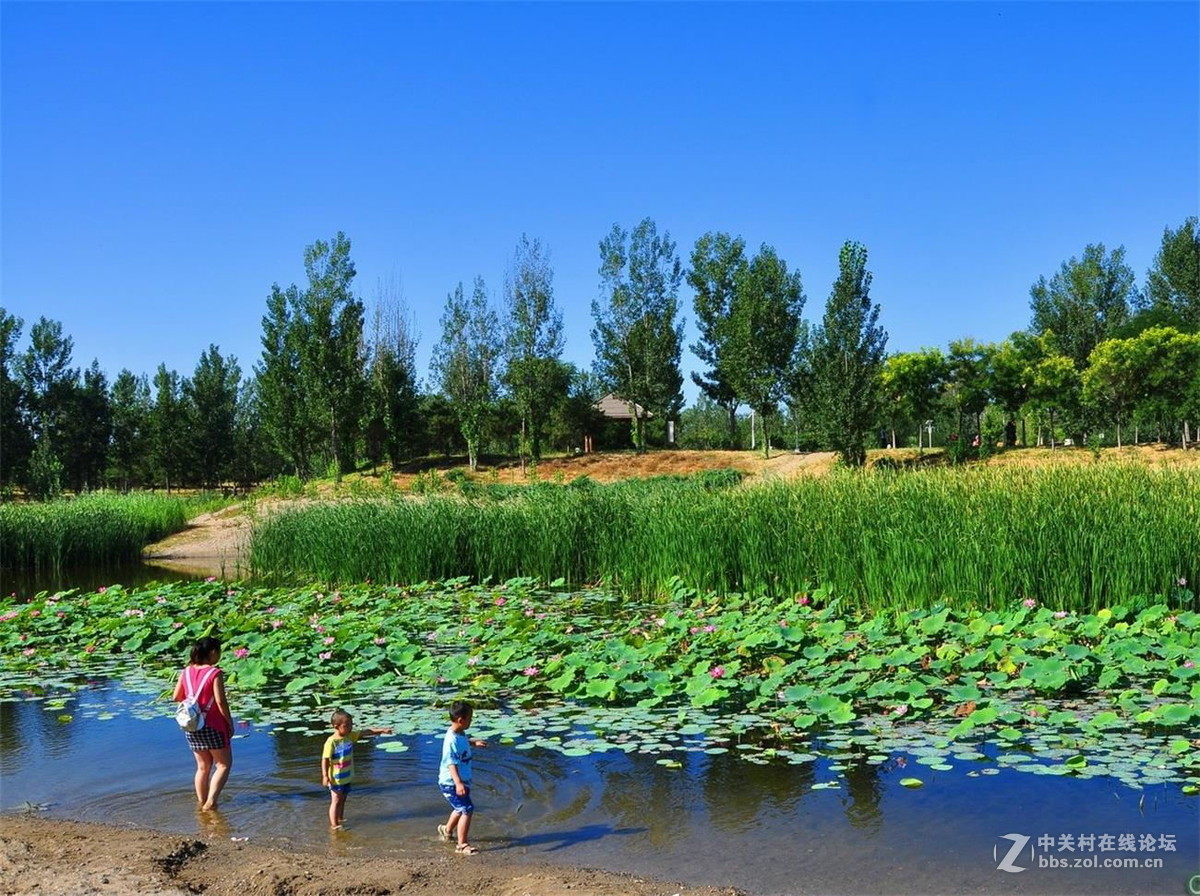 北京东小口森林公园美丽风景