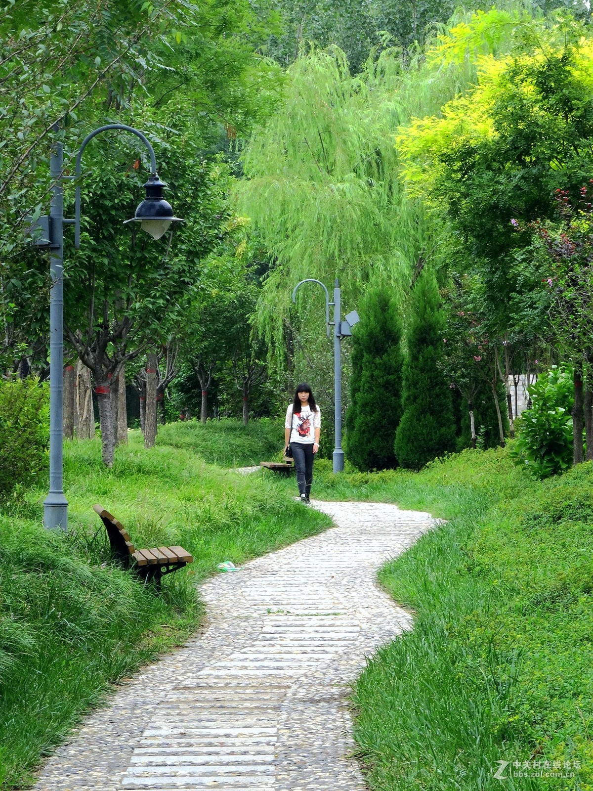 林荫小路