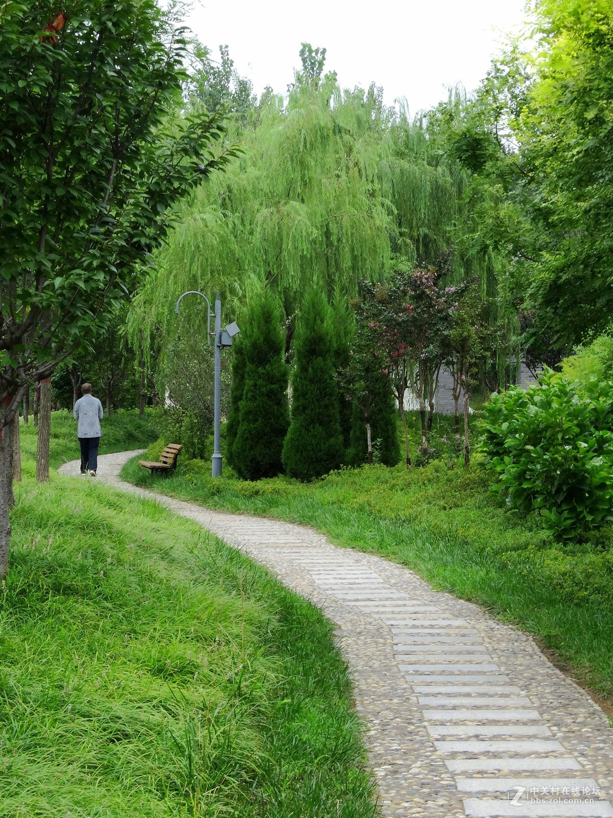 林荫小路
