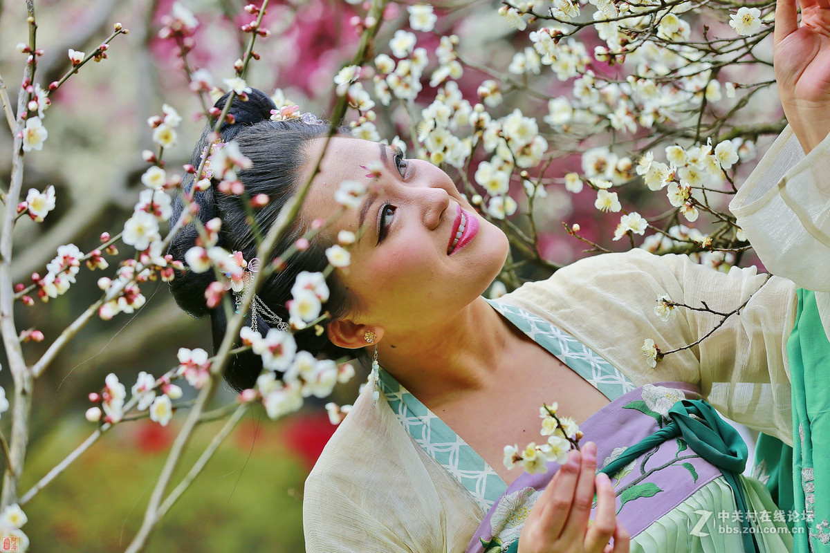 梅花美女三