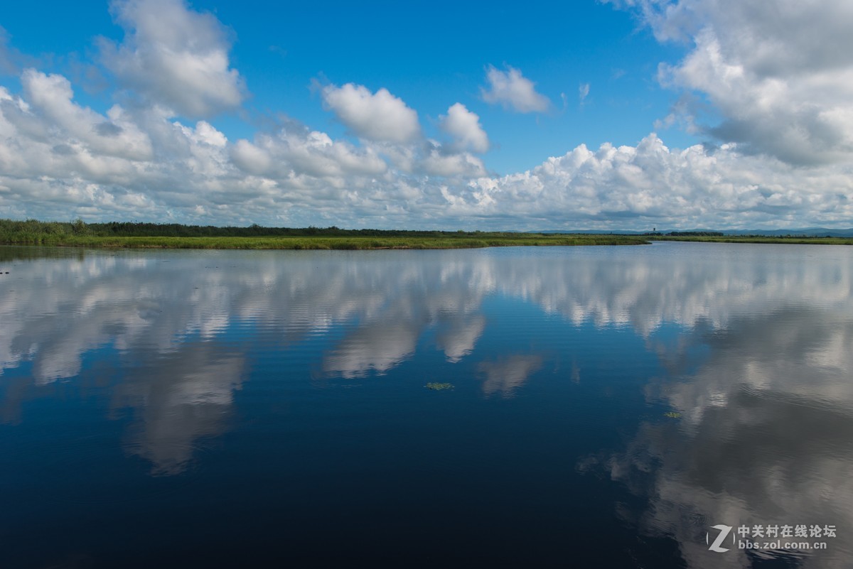 饶河县红旗岭农场千鸟湖湿地