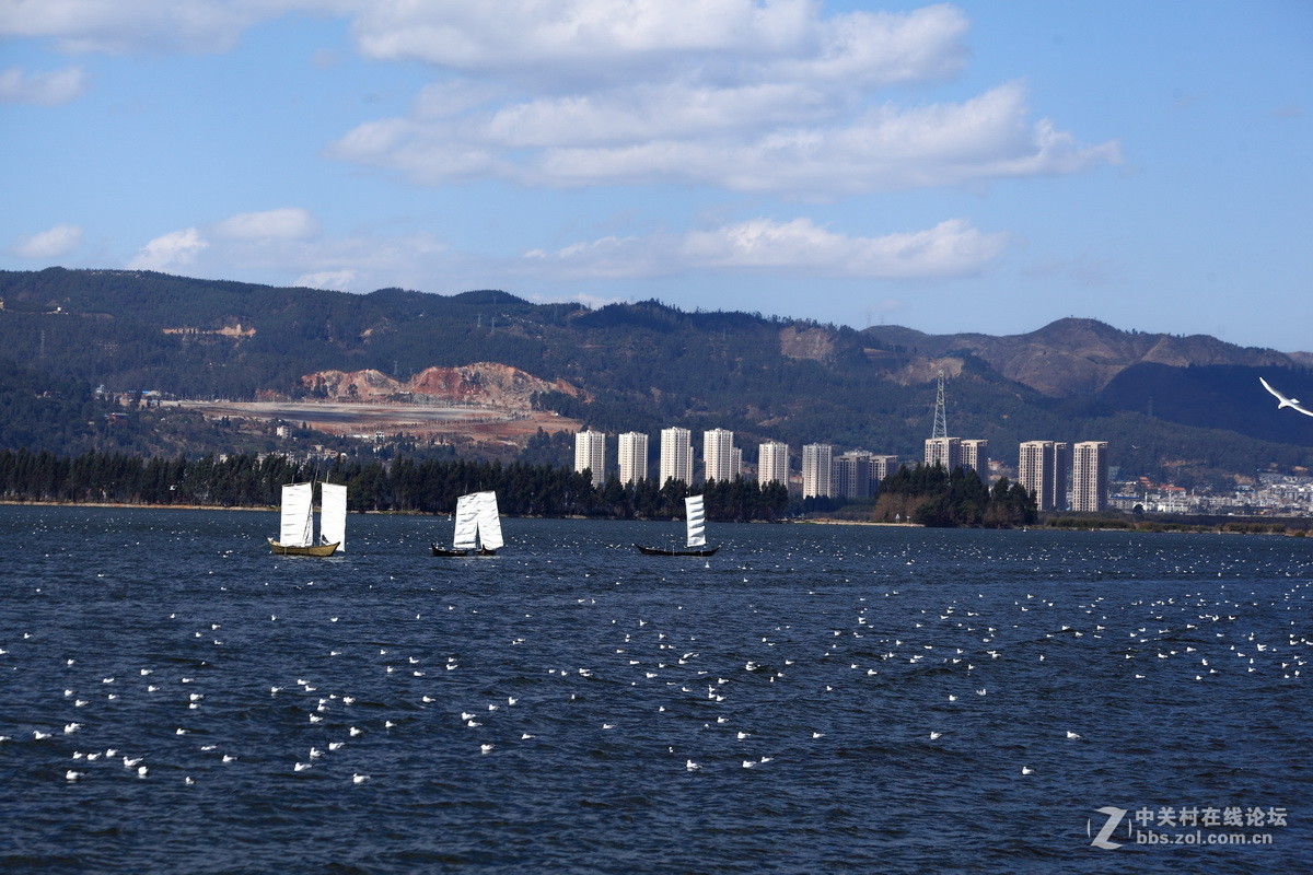 滇池草海风光