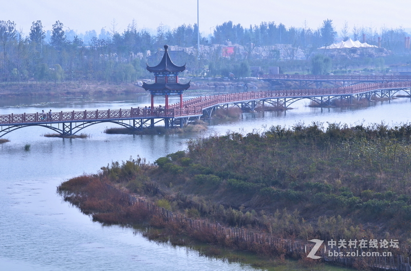 山东日照莒县沭河湿地公园