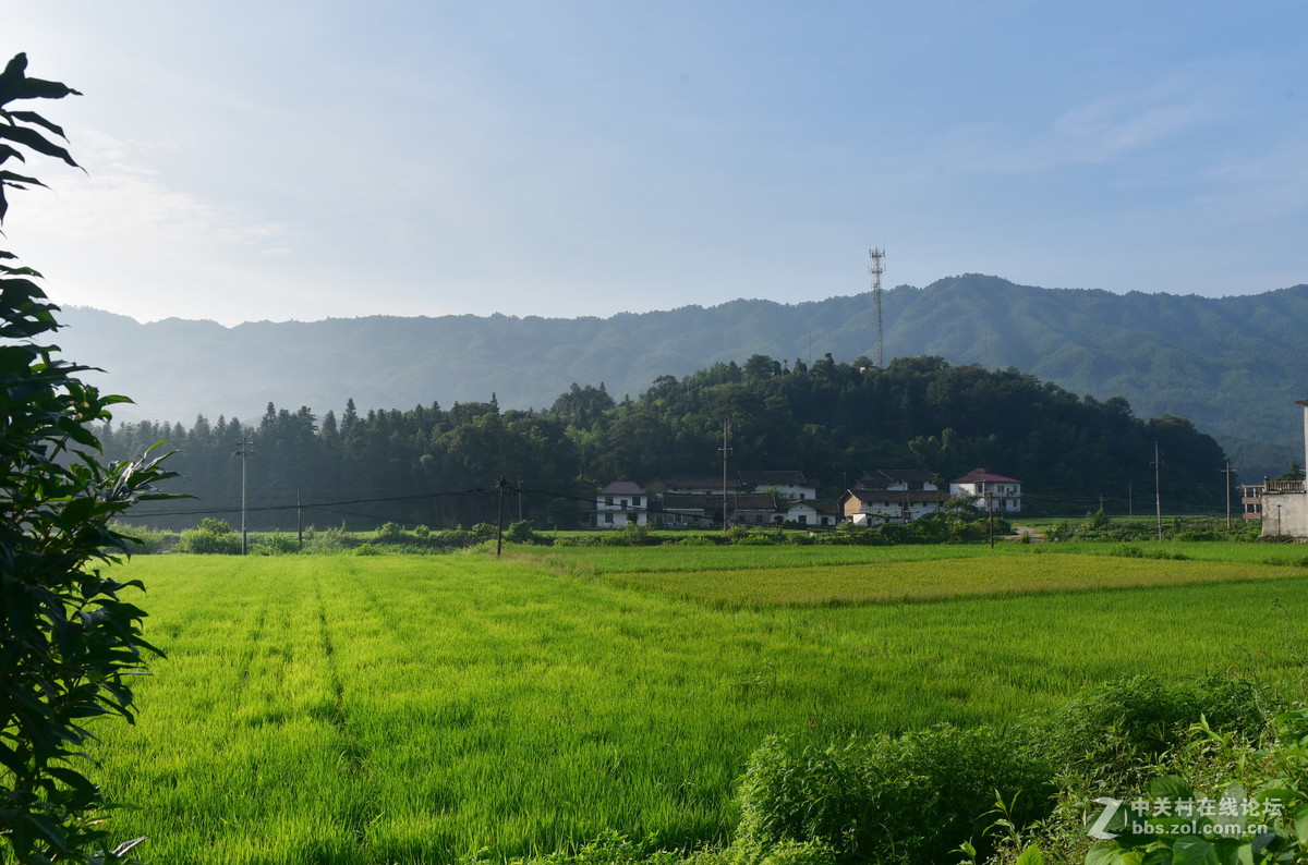 山乡风光