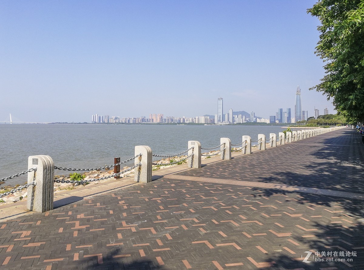 深圳红树湾公园掠影