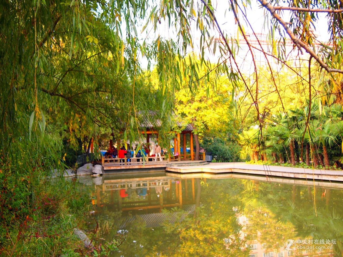 郑州市碧沙岗公园秋景剪影