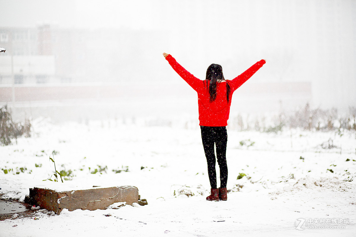 雪中舞