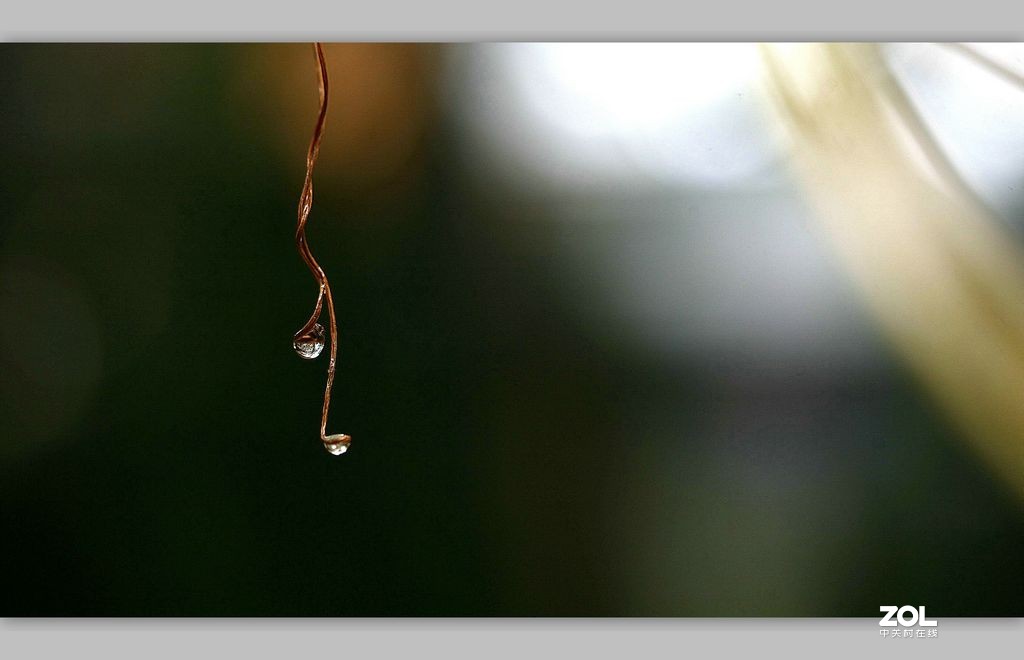 冬雨