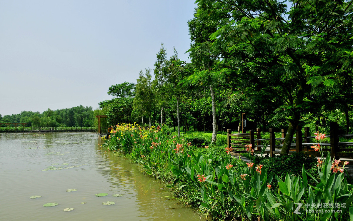 广州南沙湿地公园上