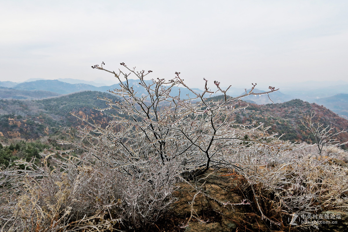 2015117抚宁后明山冰挂美景
