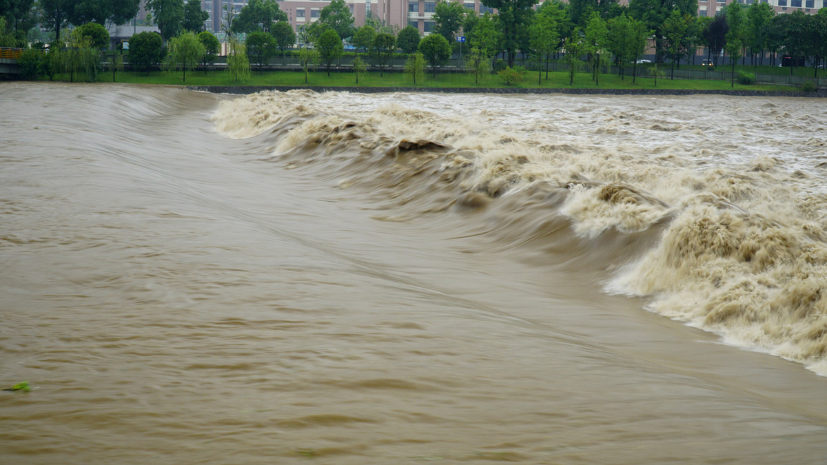 冒雨实拍熟溪河洪水在咆哮24p