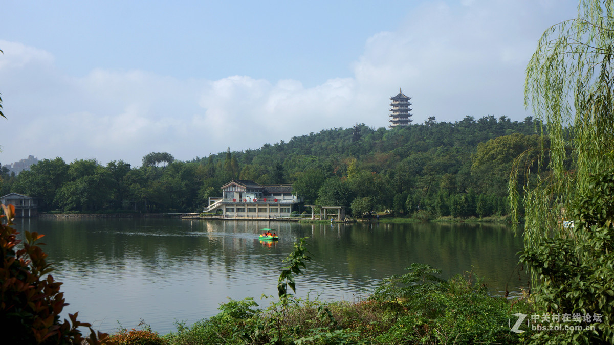 张公山公园随拍
