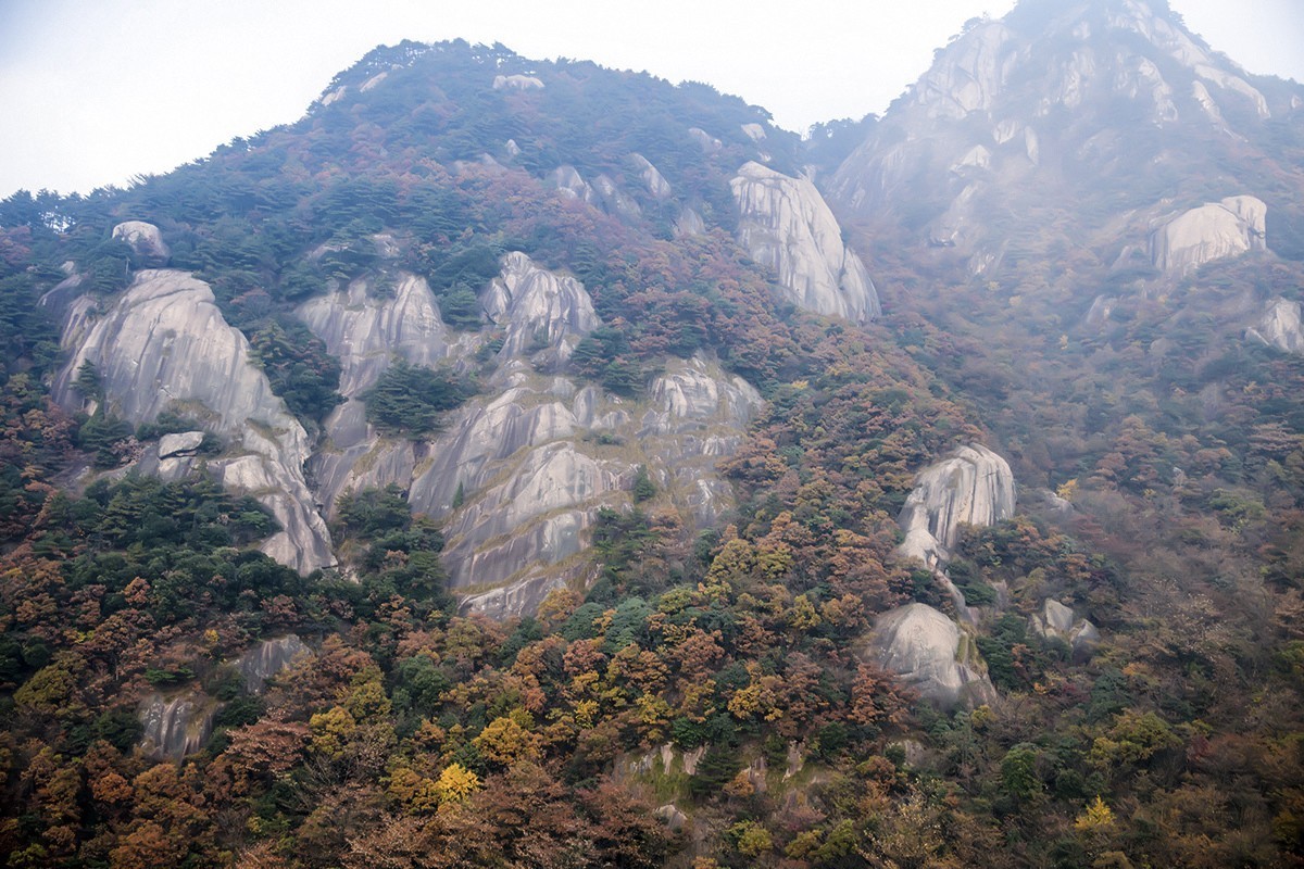 九华山圣境花台1