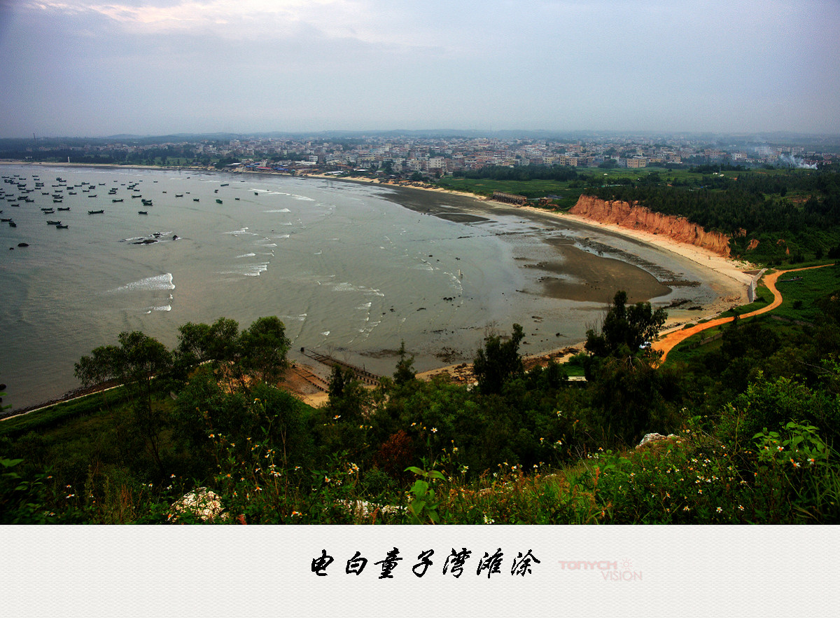 电白海边风景系列童子湾滩涂