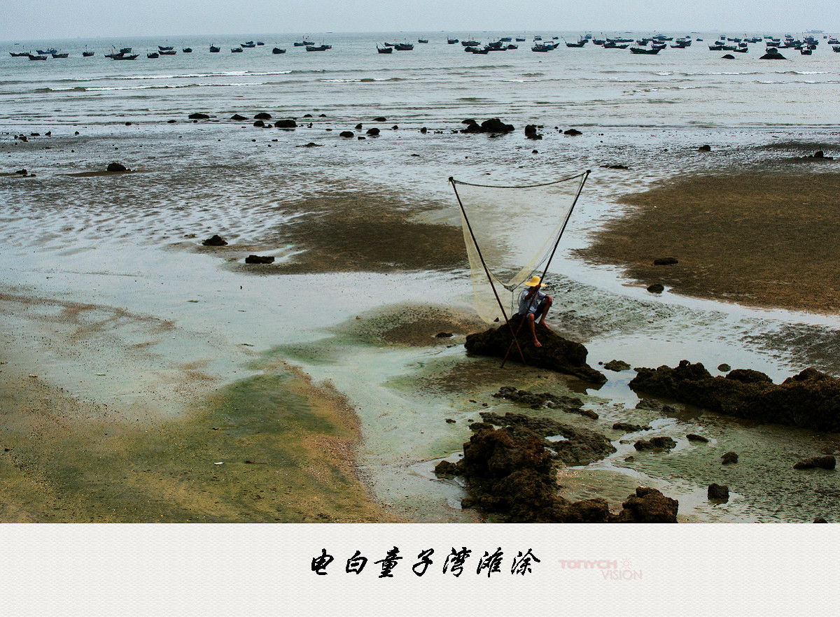 电白海边风景系列童子湾滩涂