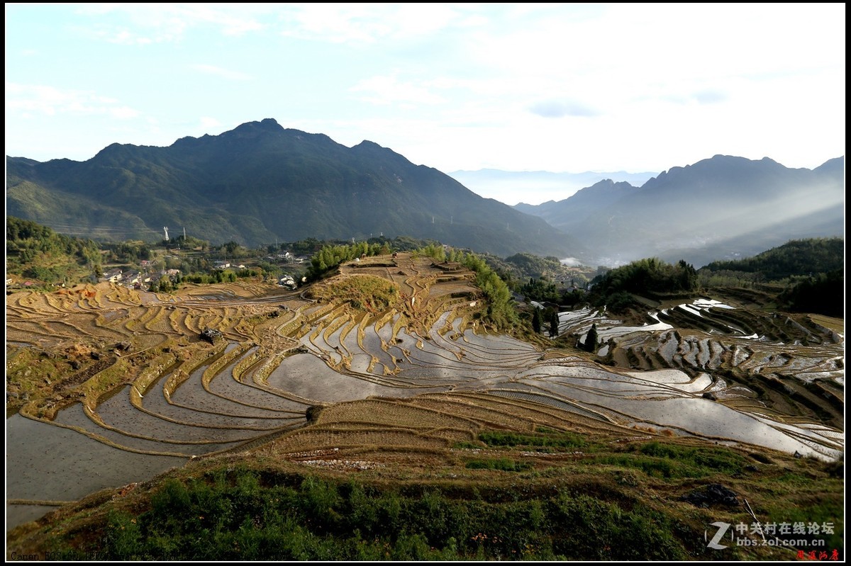 浙江丽水云和梯田秋景