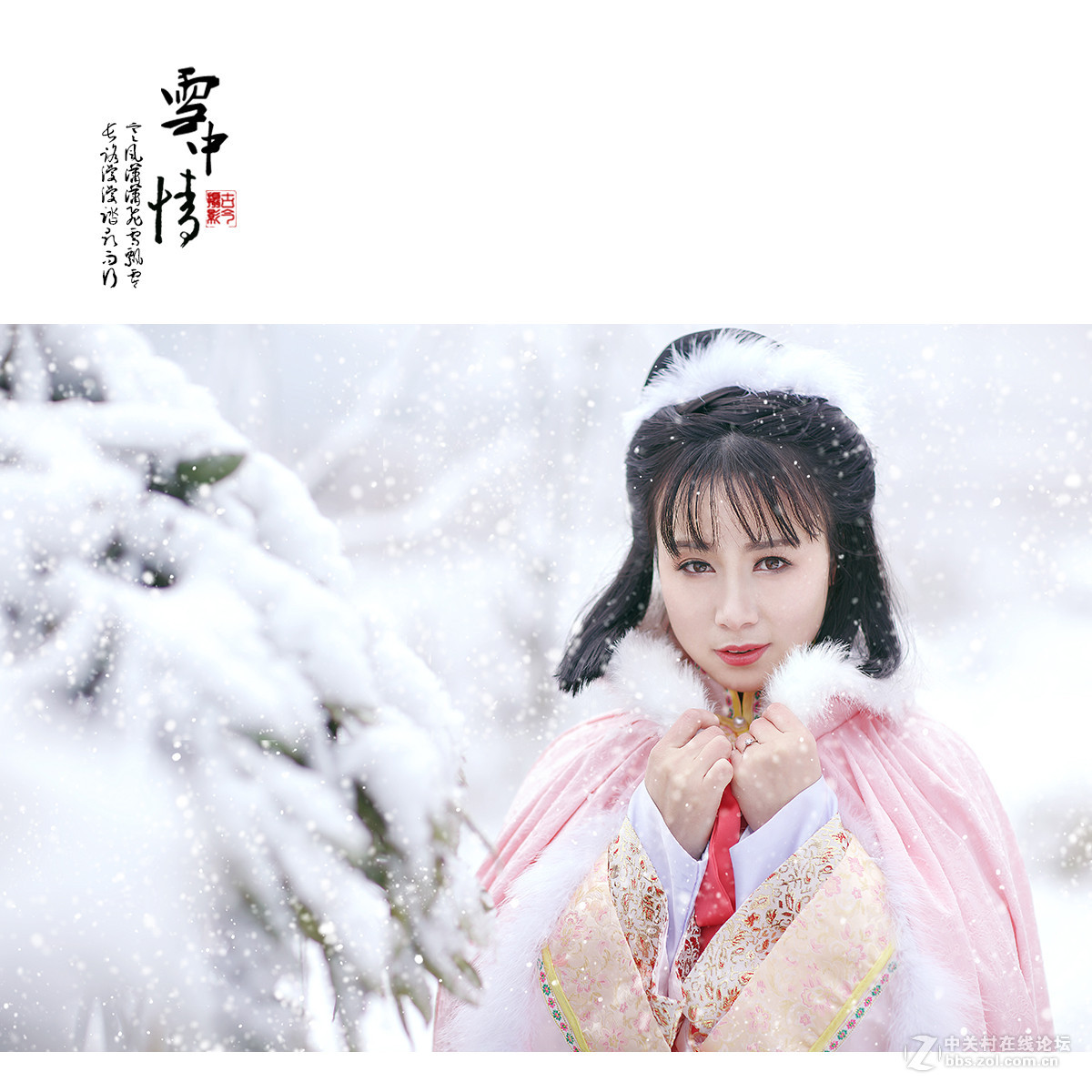 雪中情