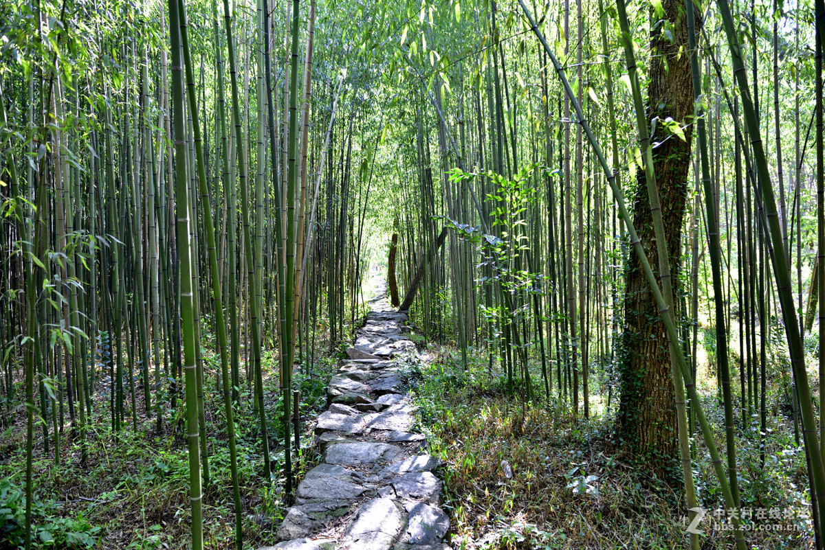 海阳丛麻禅院