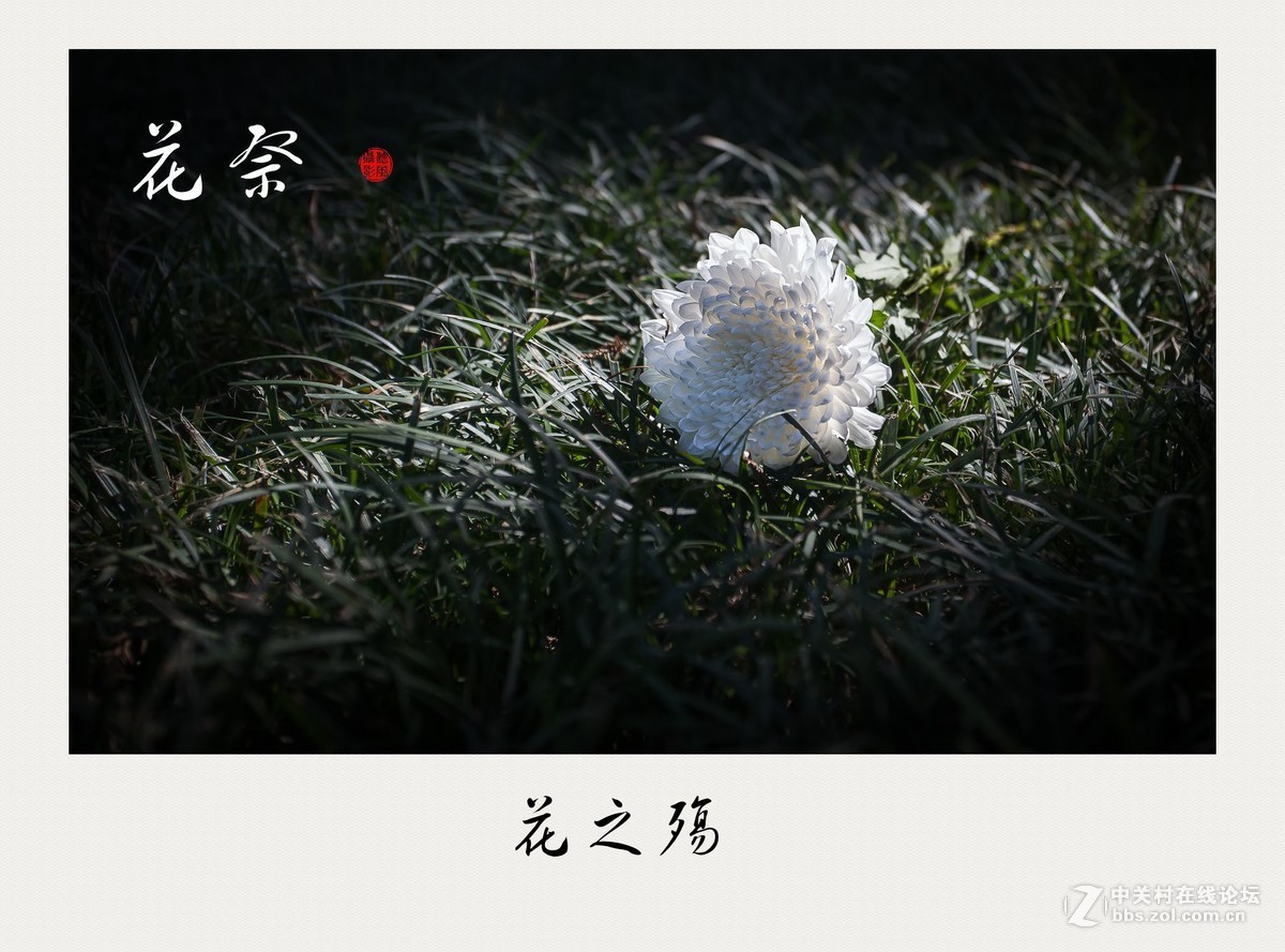 花祭烈士纪念日