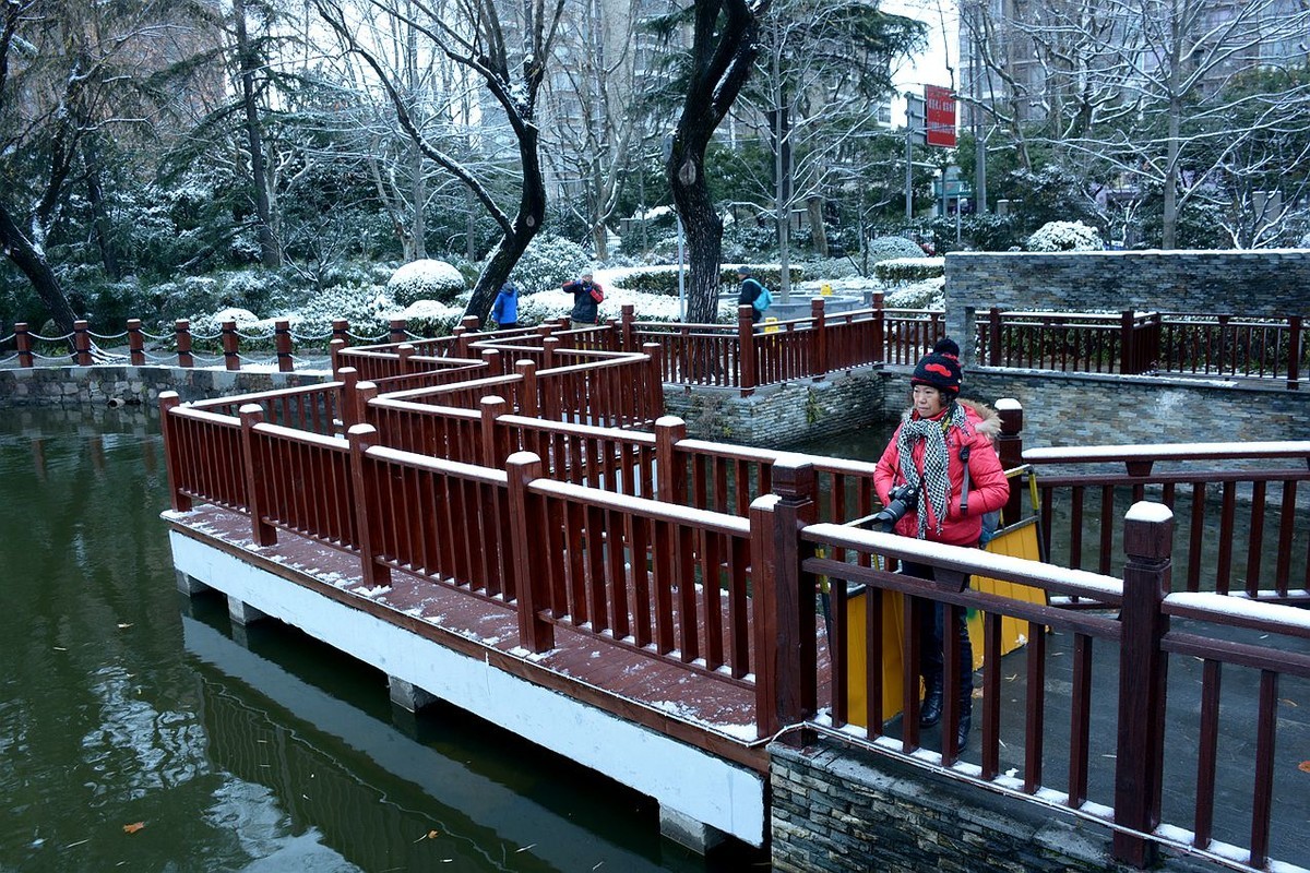 上海十年一遇冬天里的雪