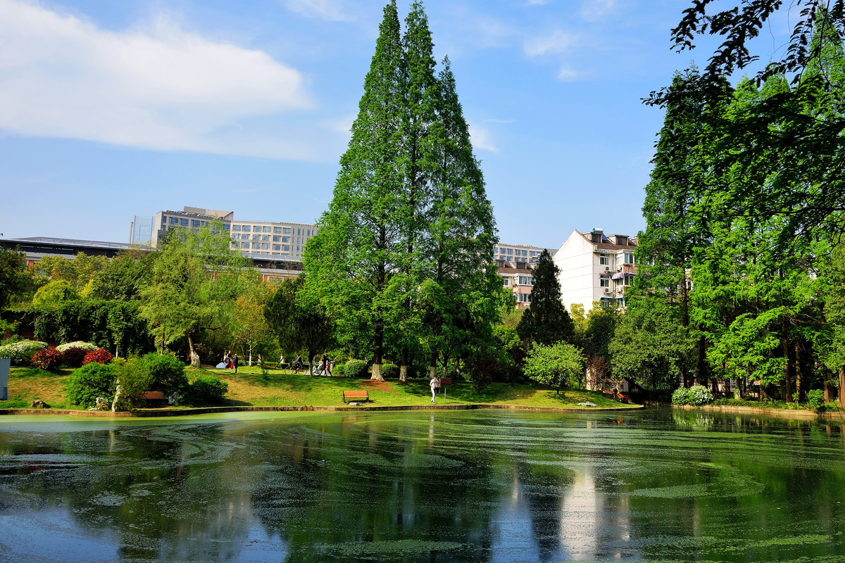 中国科技大学春天小景