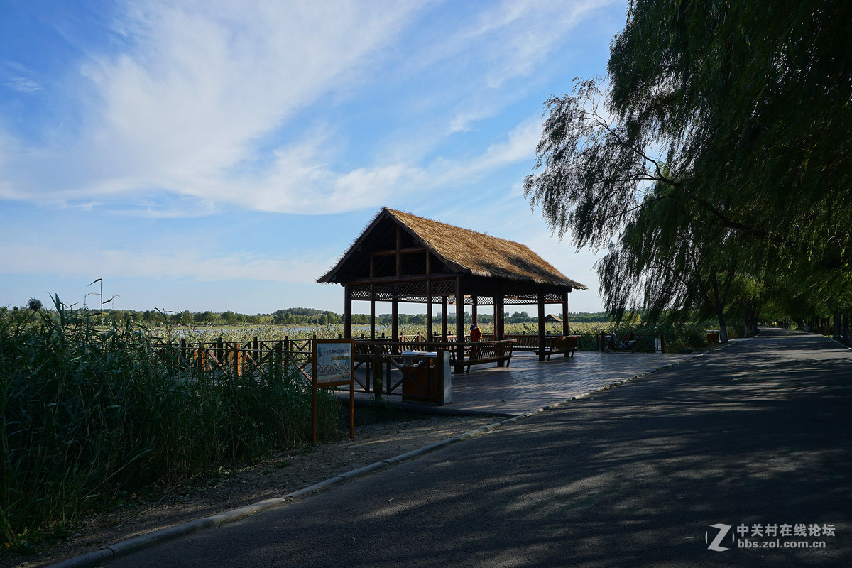 北京通州区风景大运河森林公园