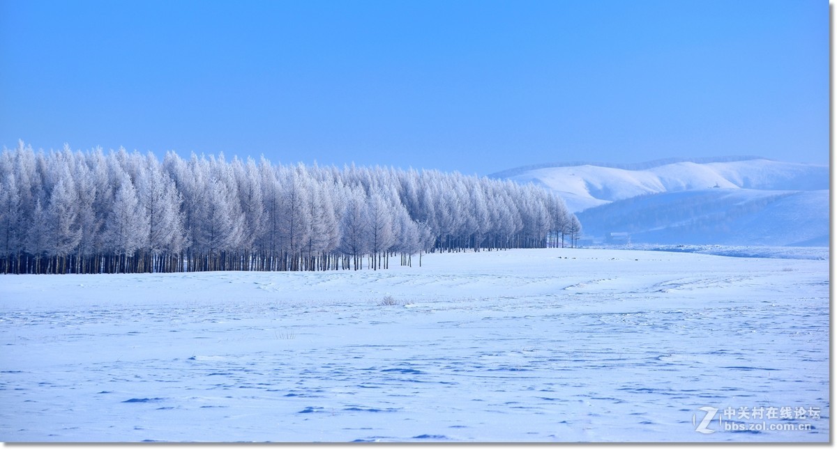 坝上雪景图