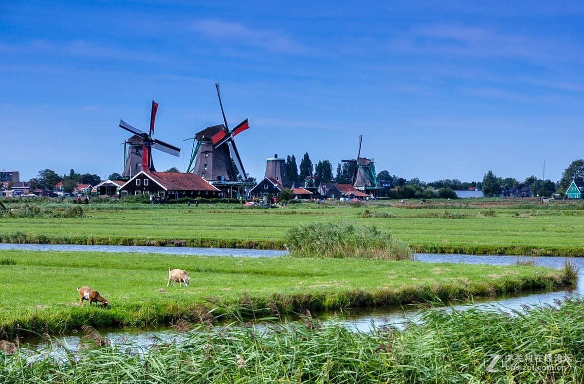 全球负有盛名的荷兰风车村2